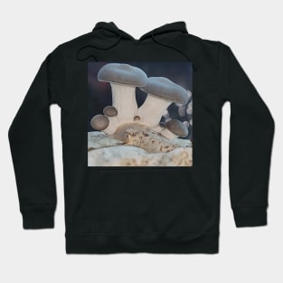 New Oyster Mushrooms #2 Hoodie